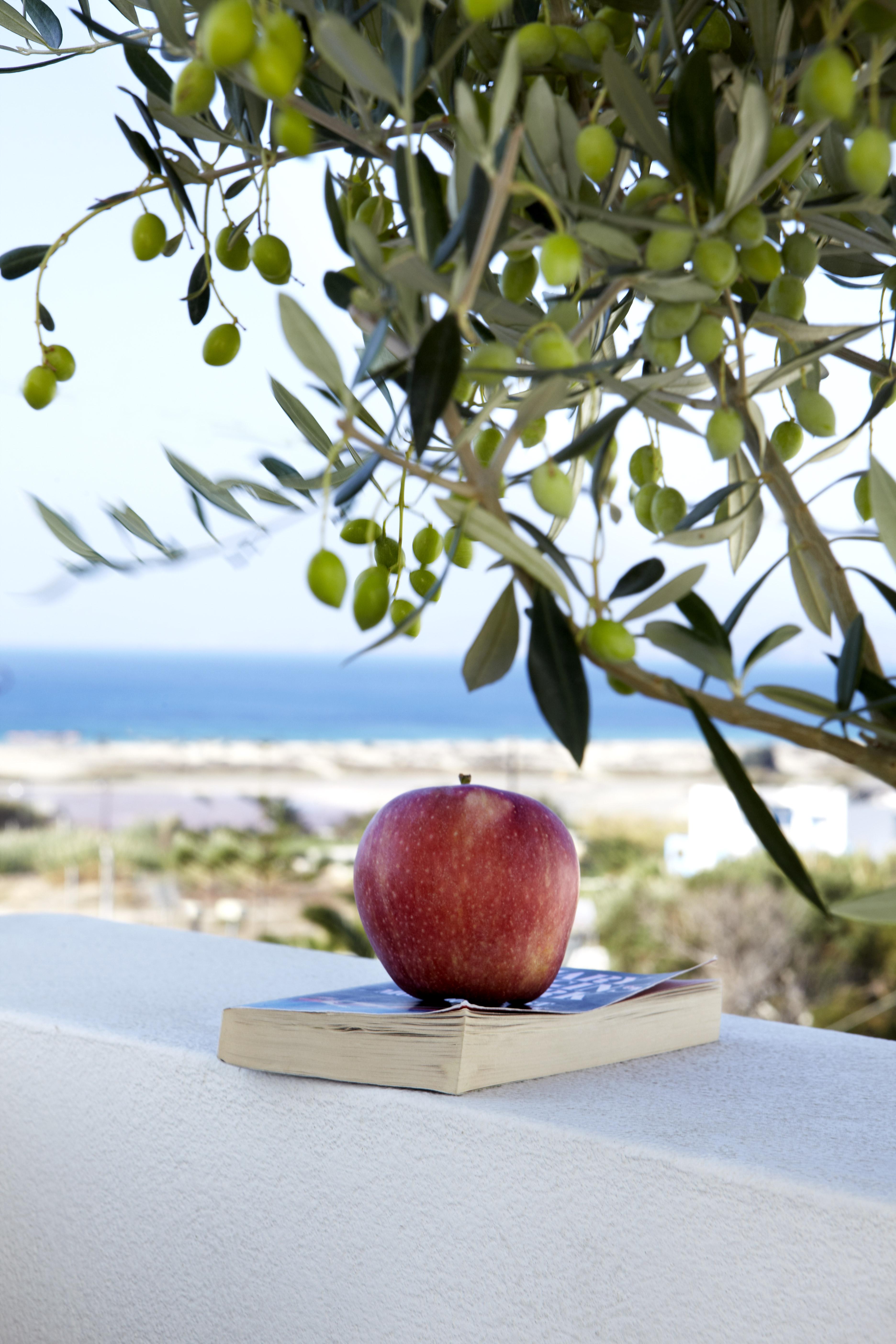Mitos Suites Agios Prokopios (Naxos) Exterior foto